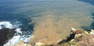 Torridge and North Cornwall areas among 20 worst areas for sewage 
