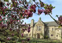 Tamar Valley celebrates its first ever Festival of Blossom