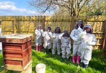 Students buzzing for club’s return