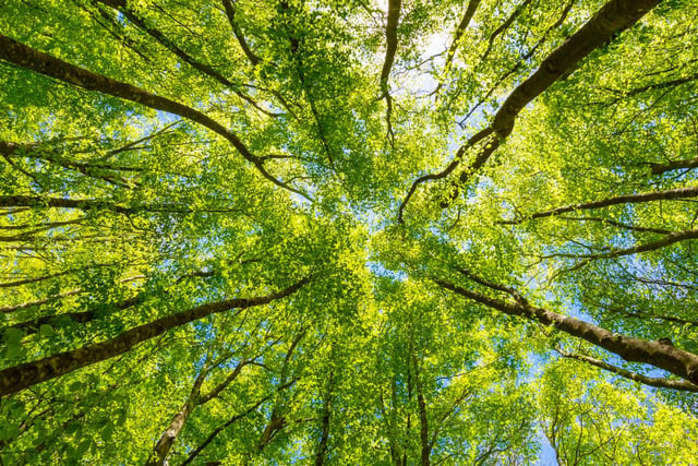 Have Your Say on how the region adapts to climate change

