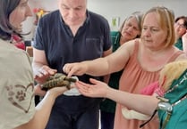 Care residents welcome some furry visitors
