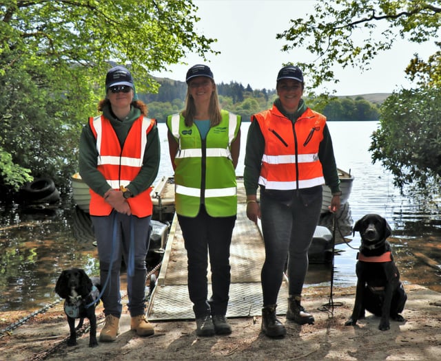 Dogs used in crayfish control