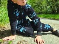 Tortoise found almost a week after going missing in garden