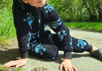 Tortoise found almost a week after going missing in garden