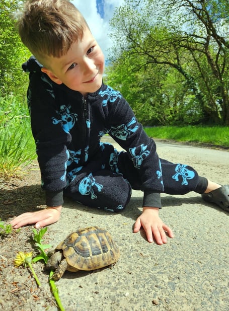 Mouse the tortoise was found hiding in the garden almost a week after going missing. 