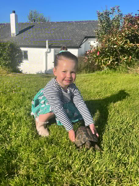 Noodles the tortoise was found near Marhamchruch. He will be returned home to his owner when they are back from holiday.