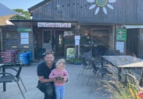 Family reunited with escapee tortoise near Holsworthy 