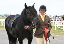 Royal Cornwall Show: Horse power on display