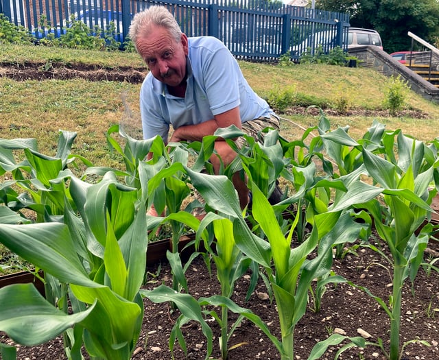 Gardening club celebrate birthday crop