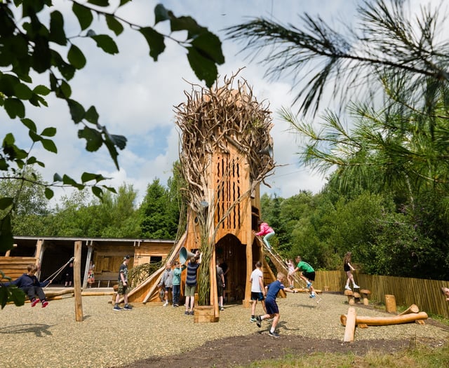 Summer of fun at Eden