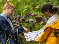 Will Cornwall's 2023 butterfly count beat last year's?