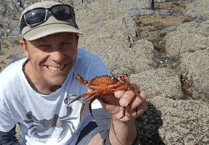 Marine biologist delves into the fascinating life of crabs