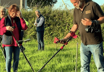 How to treasure hunt with a metal detector