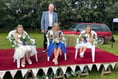Village Revel in good weather