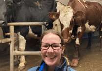 Meet the Holsworthy dairy farmer nominated for prestigious award 