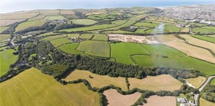 Rural land for sale provides opportunity to own a riverside woodland