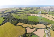 Rural land for sale provides opportunity to own a riverside woodland