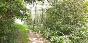 Council appeal for support to save iconic nature trail