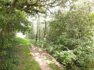 Council appeal for support to save iconic nature trail