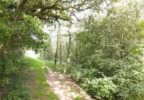 Council appeal for support to save iconic nature trail