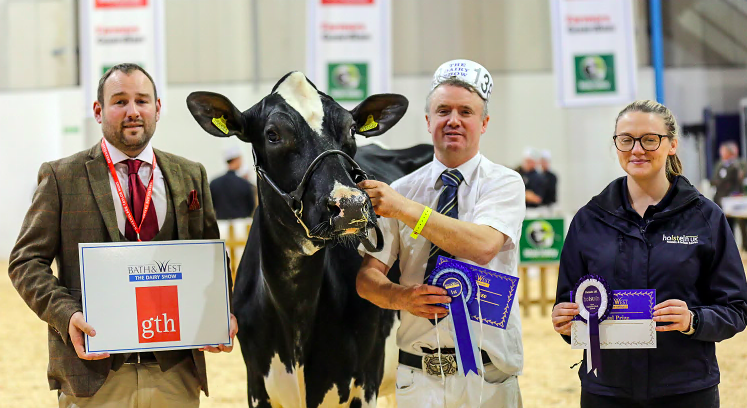 Reserve interbreed champion Thuborough Farms’ Holstein senior cow, shown by Roland Ley