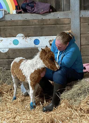 Bodmin equine therapy charity celebrates grant from Morrisons