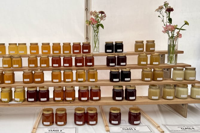 A variety of honeys displayed in a honey show.