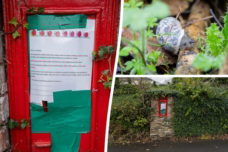 Villagers mail is being eaten in Lewdown - by snails in the postbox