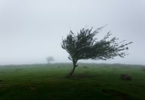 Storm Ciarán: Today's hour-by-hour weather forecast