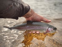 Mixed conditions for anglers in October