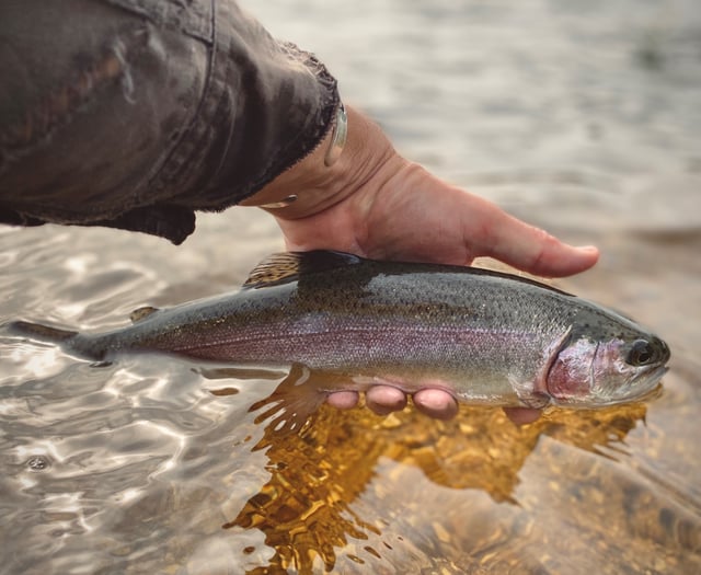 Mixed conditions for anglers in October