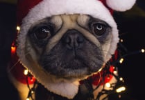 NCB Radio: A safe haven for Grinches
