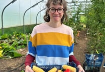 Market Garden Discovery Day event to take place in Camelford