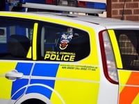 Arrest after vandalism
