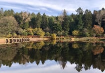 Brown trout fishing closed until March