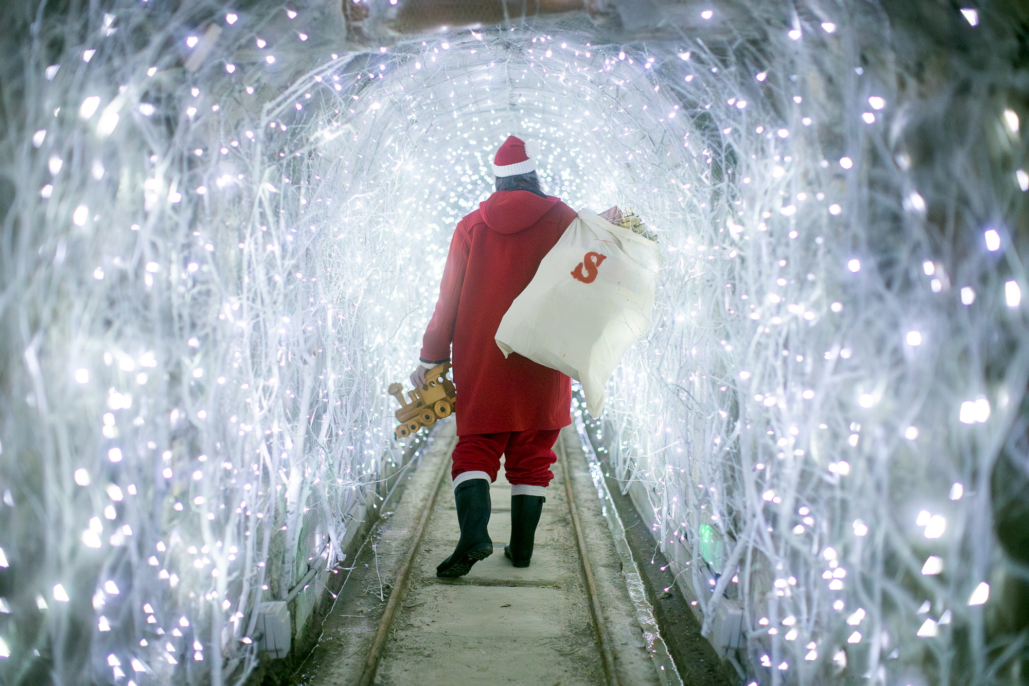 Win a family ticket to the Tunnel of Lights