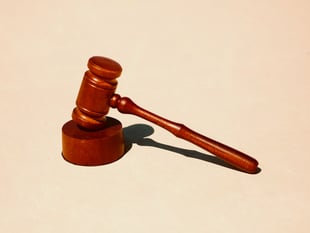 Launceston farmer admits to string of animal welfare offences