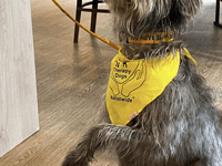 Therapy dog makes new friends at local residential home