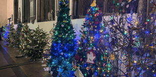 Launceston outdo themselves with Tree Festival
