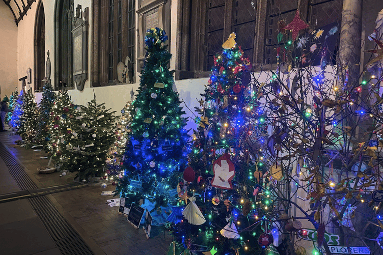 Launceston tree fest