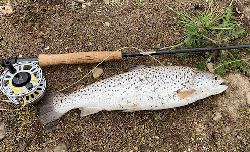 Challenging month for brave anglers