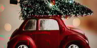 What to do with your real Christmas tree