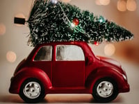 What to do with your real Christmas tree