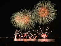 Venue issues warning to pets amid firework plans