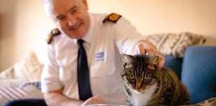 RSPCA celebrates 200th birthday during its ‘busiest week’ in Cornwall