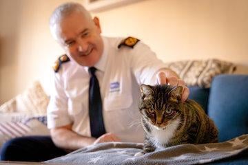 More than 3,000 animals rehomed by the RSPCA in Cornwall in last decade