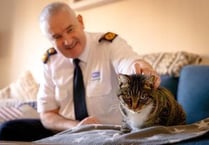 More than 3,000 animals rehomed by the RSPCA in Cornwall 