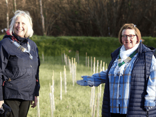 Cornish group first to create biodiversity area