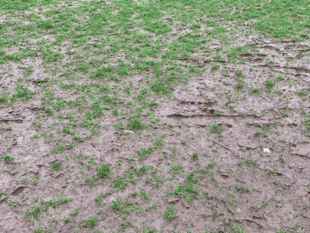 Bad weather claims plenty of matches