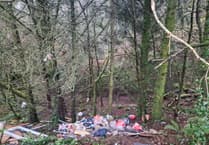 Launceston residents disappointed at woodland flytipping